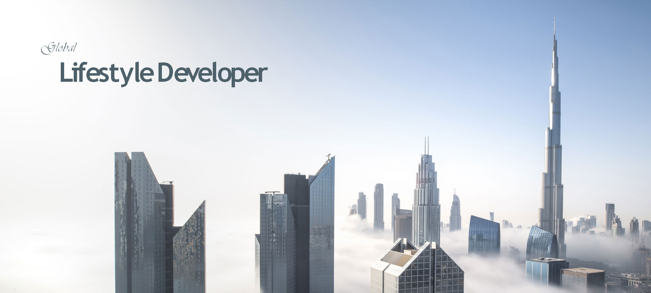 Lifestyle-Developer